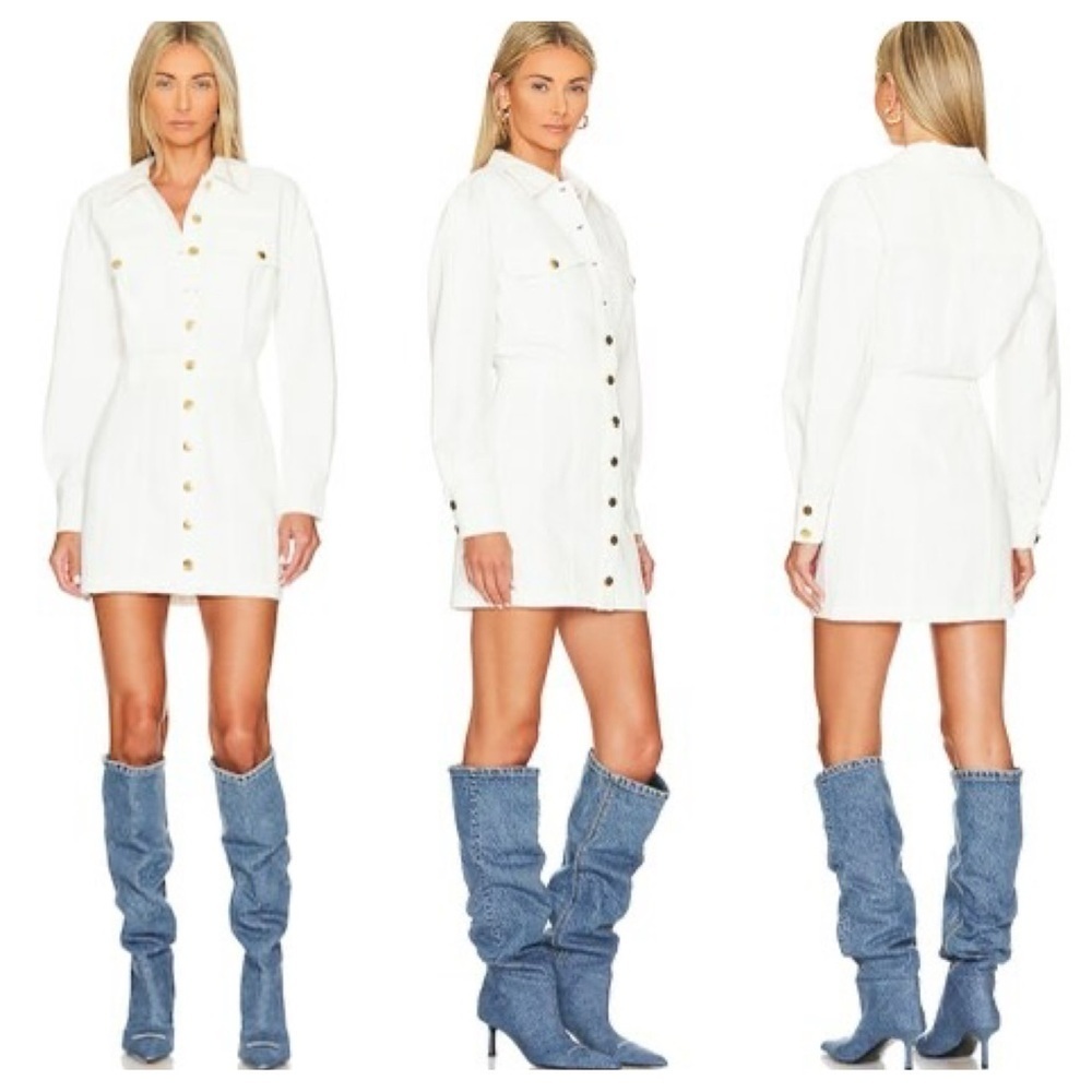 Lovers + Friends Frankie Mini Dress (D7)